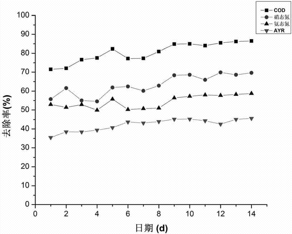 Method for removing azo dye mixed pollutant wastewater through bio-electrochemical reactor system