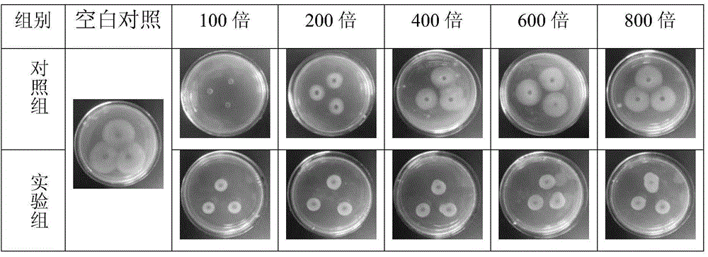 Botanical fungicide as well as preparation, use and storage methods thereof