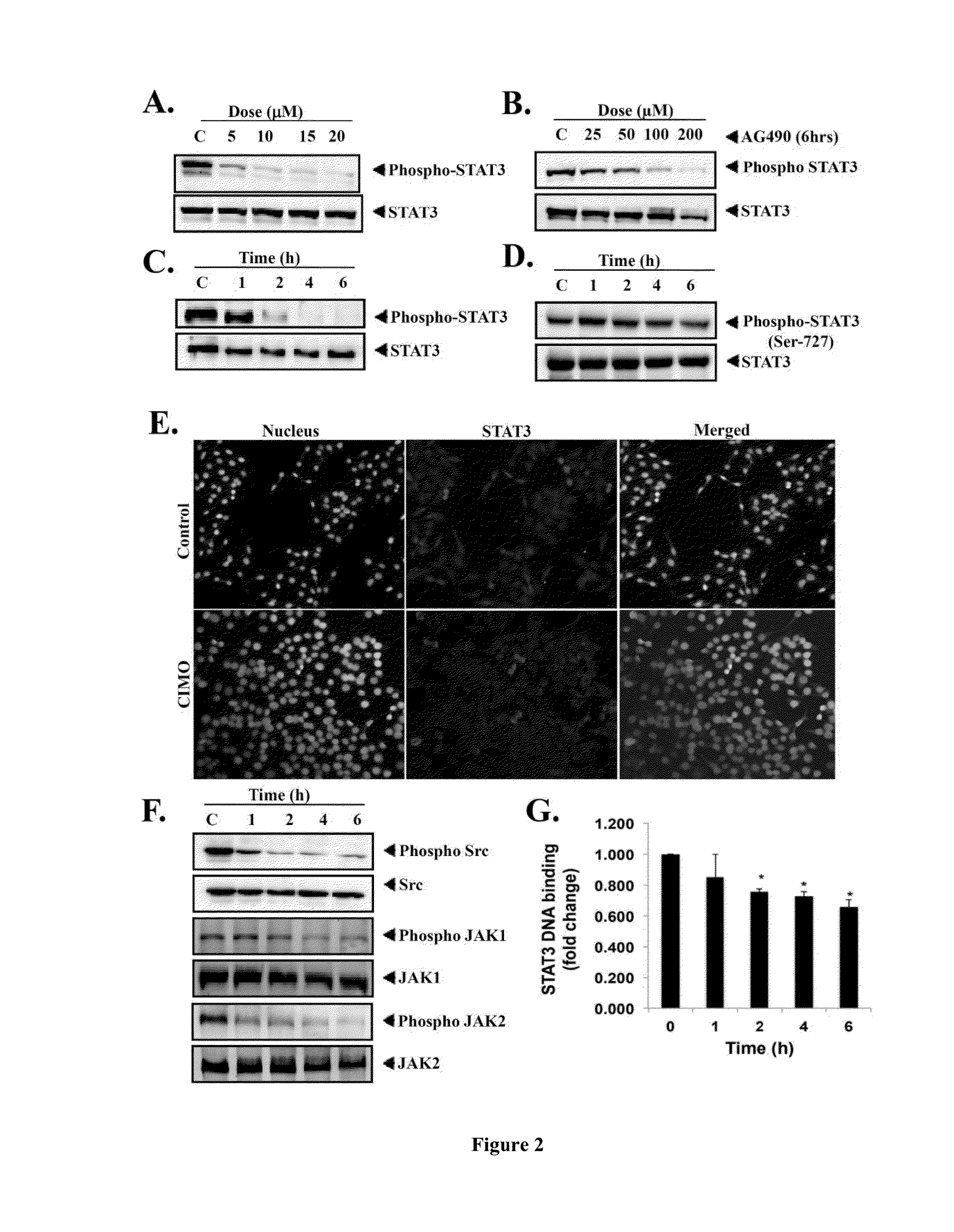 Compounds as modulator of JAK-STAT pathway, methods and applications thereof