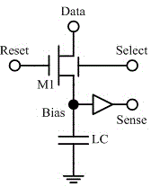 Touch display screen drive and fingerprint image acquisition method