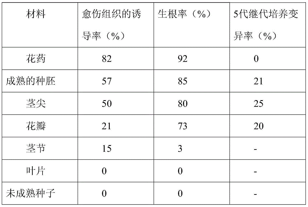 Free pollen cultivation method of iris ensata thunb