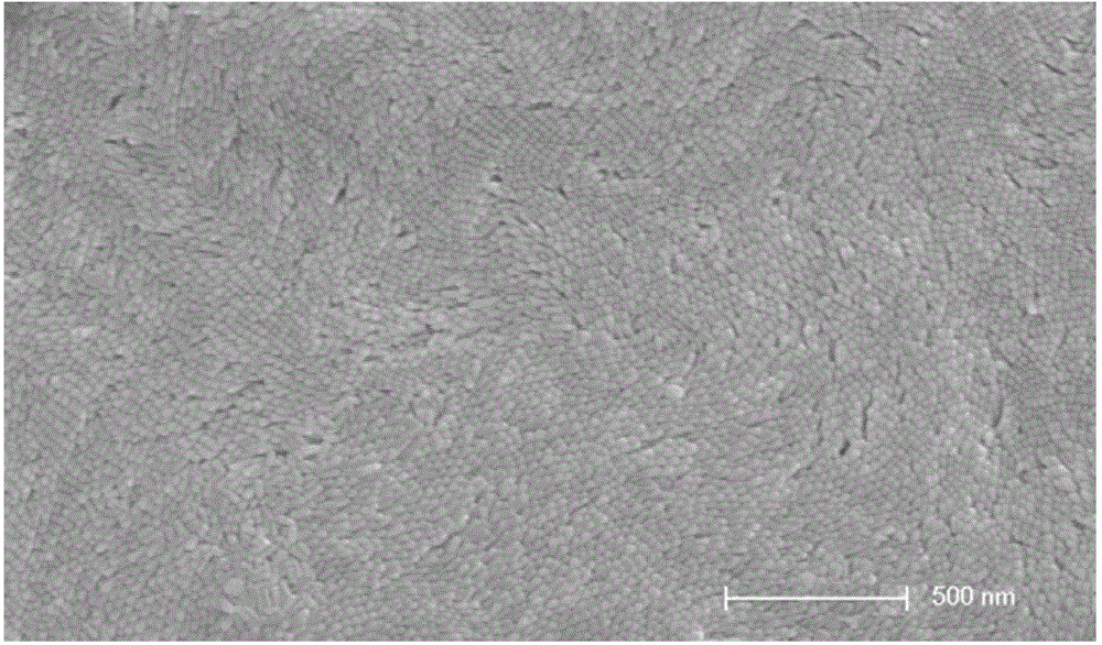 Method for enhancing Raman signals with nano super-crystal technology to identify microorganisms