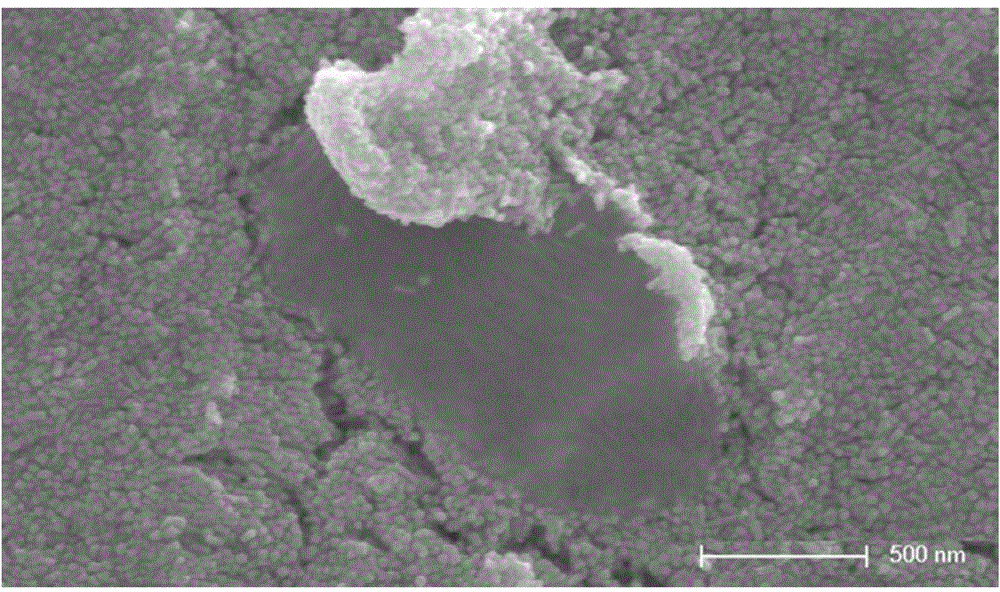 Method for enhancing Raman signals with nano super-crystal technology to identify microorganisms