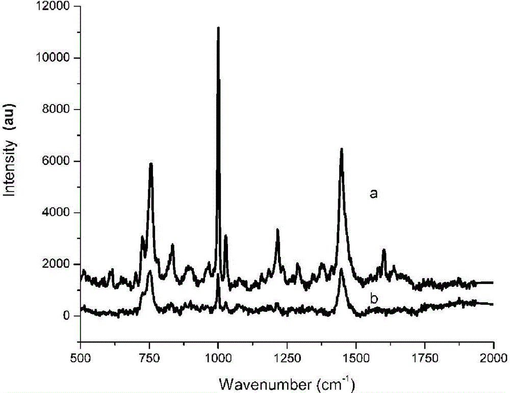 Method for enhancing Raman signals with nano super-crystal technology to identify microorganisms