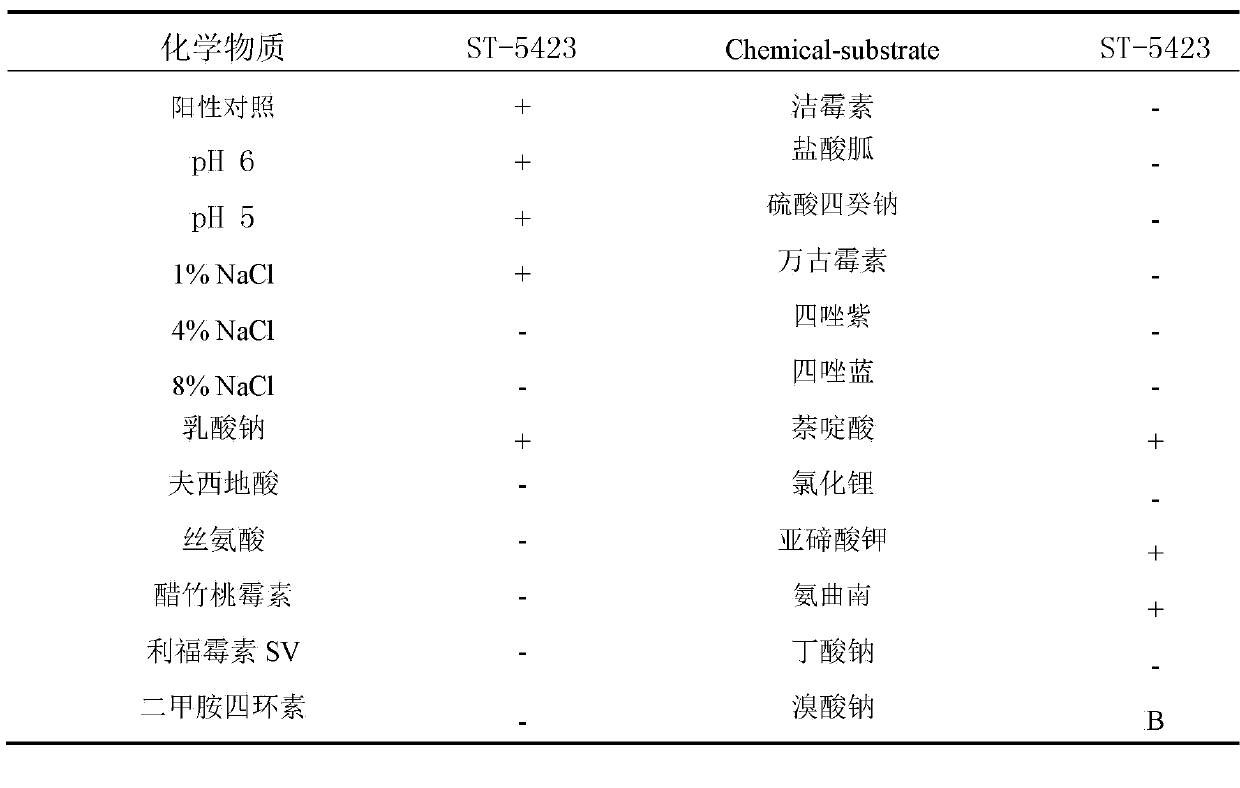 Streptomyces toxytricini and applications of streptomyces toxytricini in preparation of lipstatin