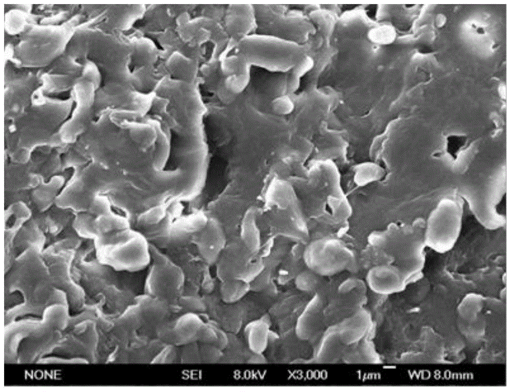 Rubber-plastic mixed composition, dynamically vulcanized thermoplastic elastomer and preparation method thereof