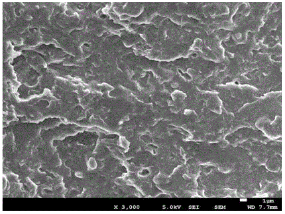 Rubber-plastic mixed composition, dynamically vulcanized thermoplastic elastomer and preparation method thereof