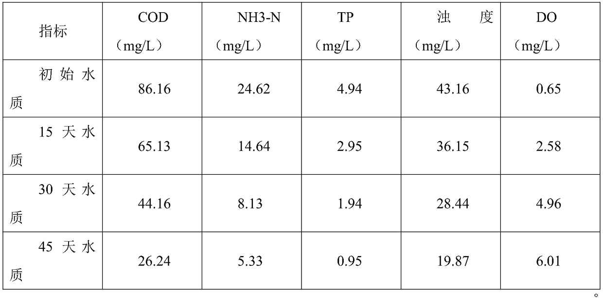 Solid composite biological preparation for in-situ repairing and treatment on black and odorous water body bottom mud and preparation method of solid composite biological preparation