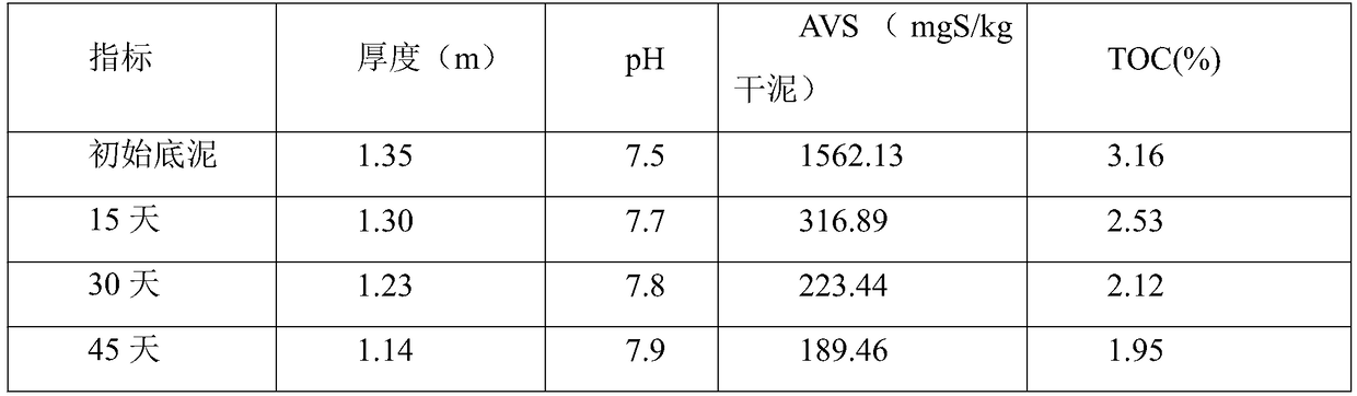 Solid composite biological preparation for in-situ repairing and treatment on black and odorous water body bottom mud and preparation method of solid composite biological preparation