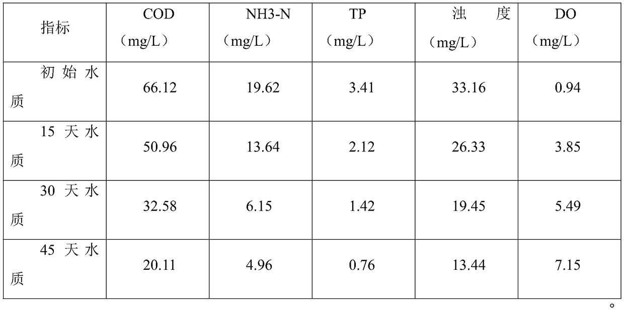 Solid composite biological preparation for in-situ repairing and treatment on black and odorous water body bottom mud and preparation method of solid composite biological preparation