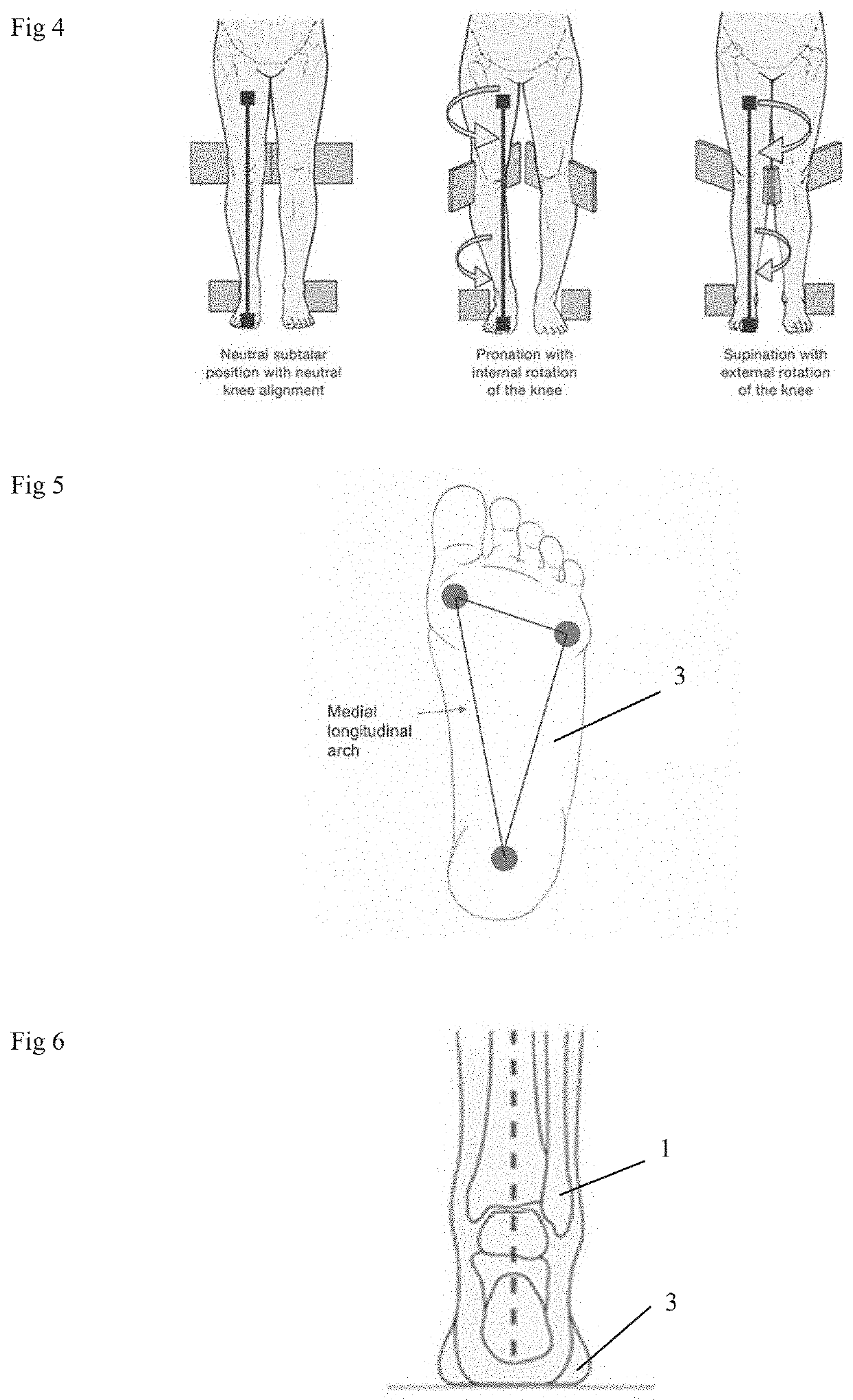 Apparatus reducing compensatory leg, ankle and foot movements during heel raise exercises in rehabilitation and fitness