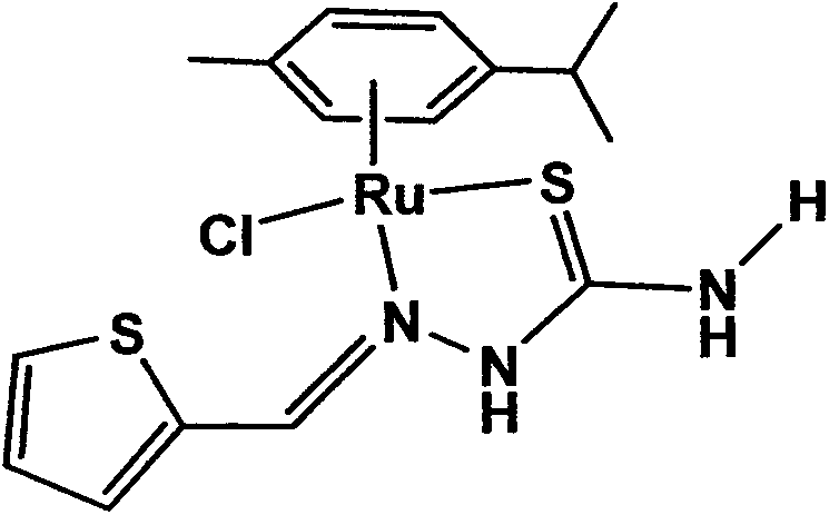 Aryl ruthenium complex, preparation method and application thereof