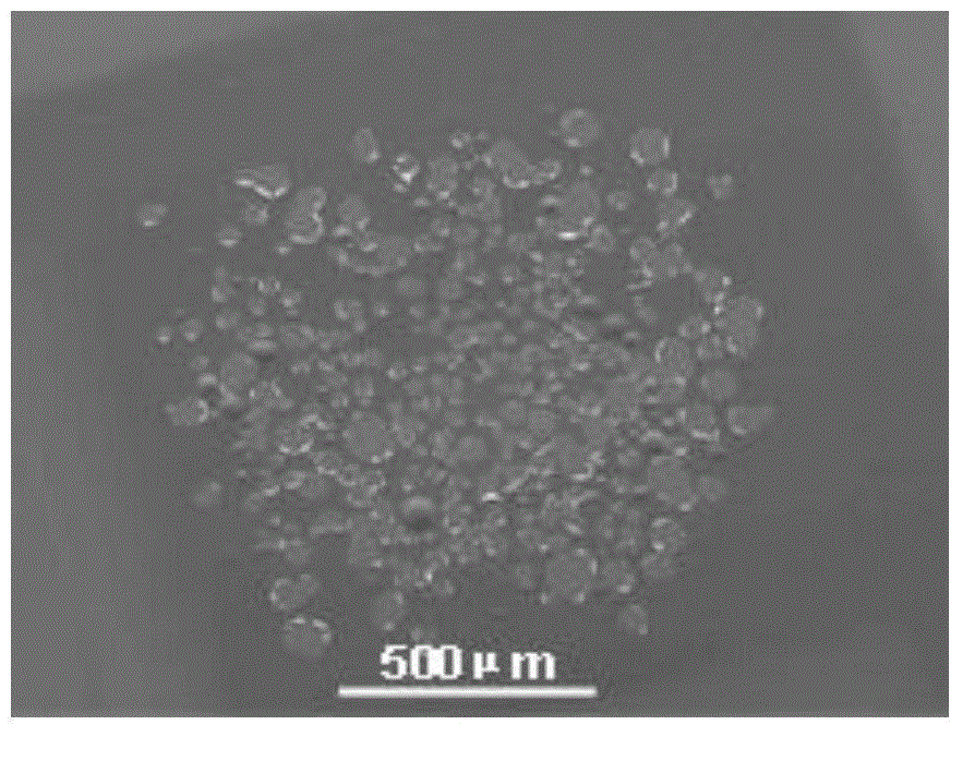 Reversible hydrogen storage material and preparation method thereof