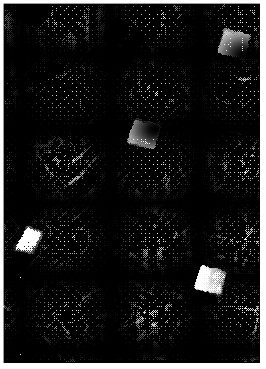 Remote sensing image change detection method based on multi-feature fusion