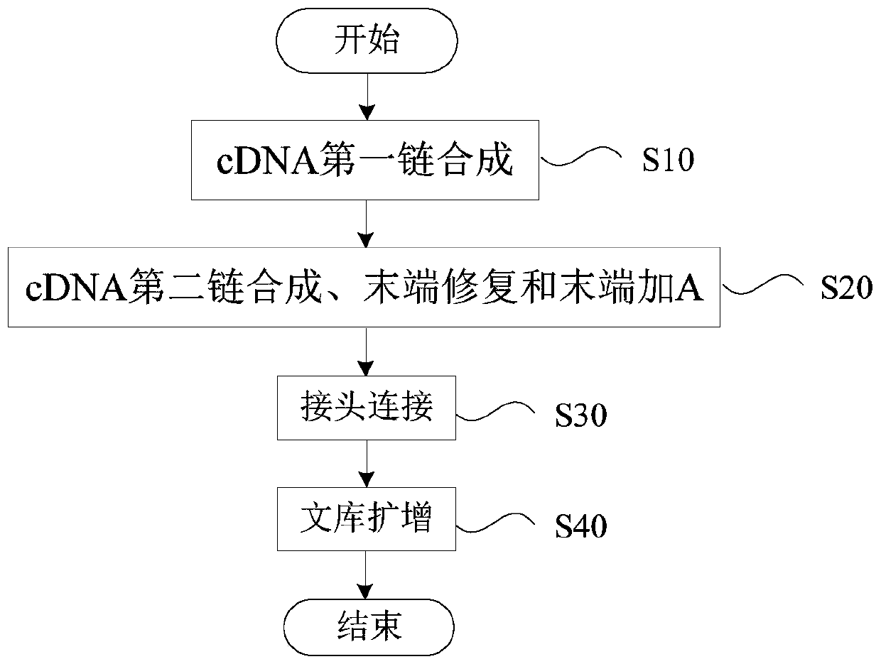 MRNA library construction method and kit