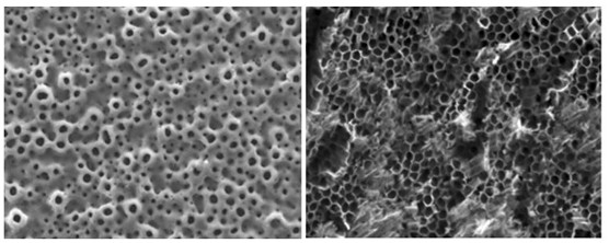 Forming method of bionic porous structure with hydrophobic resistance reducing capability