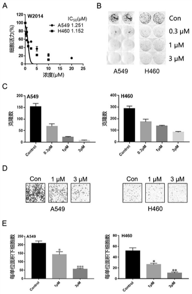 Application of a pyridoimidazole stat3 inhibitor in the preparation of drugs for delaying or reversing acquired resistance to tkis