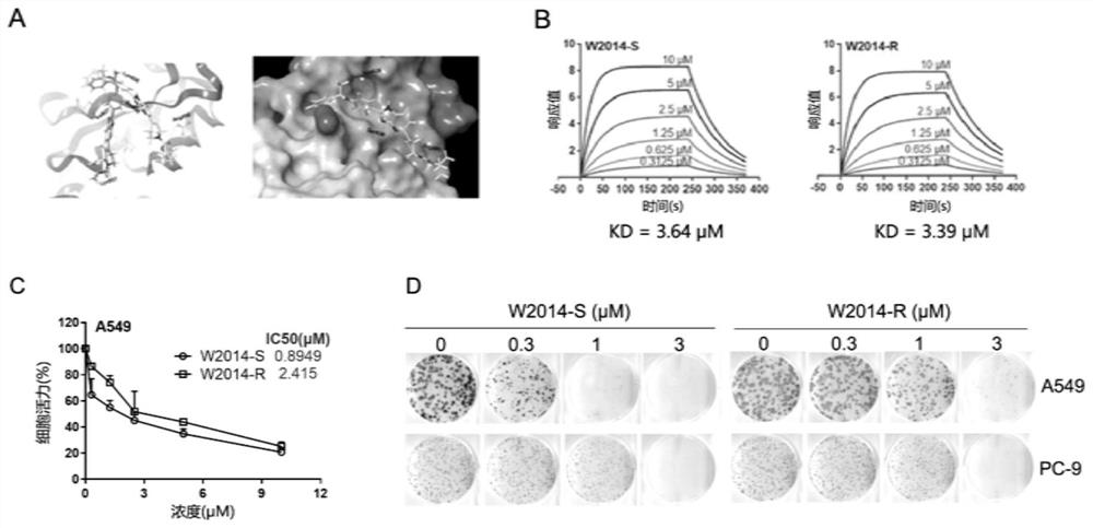 Application of a pyridoimidazole stat3 inhibitor in the preparation of drugs for delaying or reversing acquired resistance to tkis