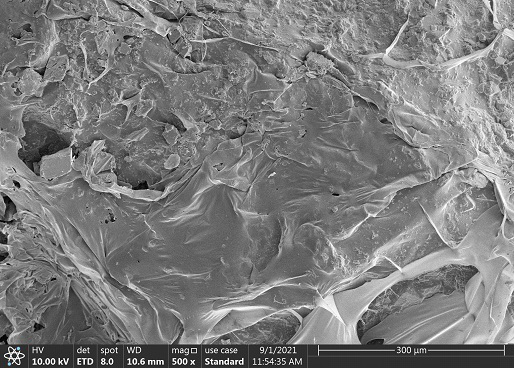 Chitosan-based efficient hemostatic with Janus structure as well as preparation method and application of chitosan-based efficient hemostatic