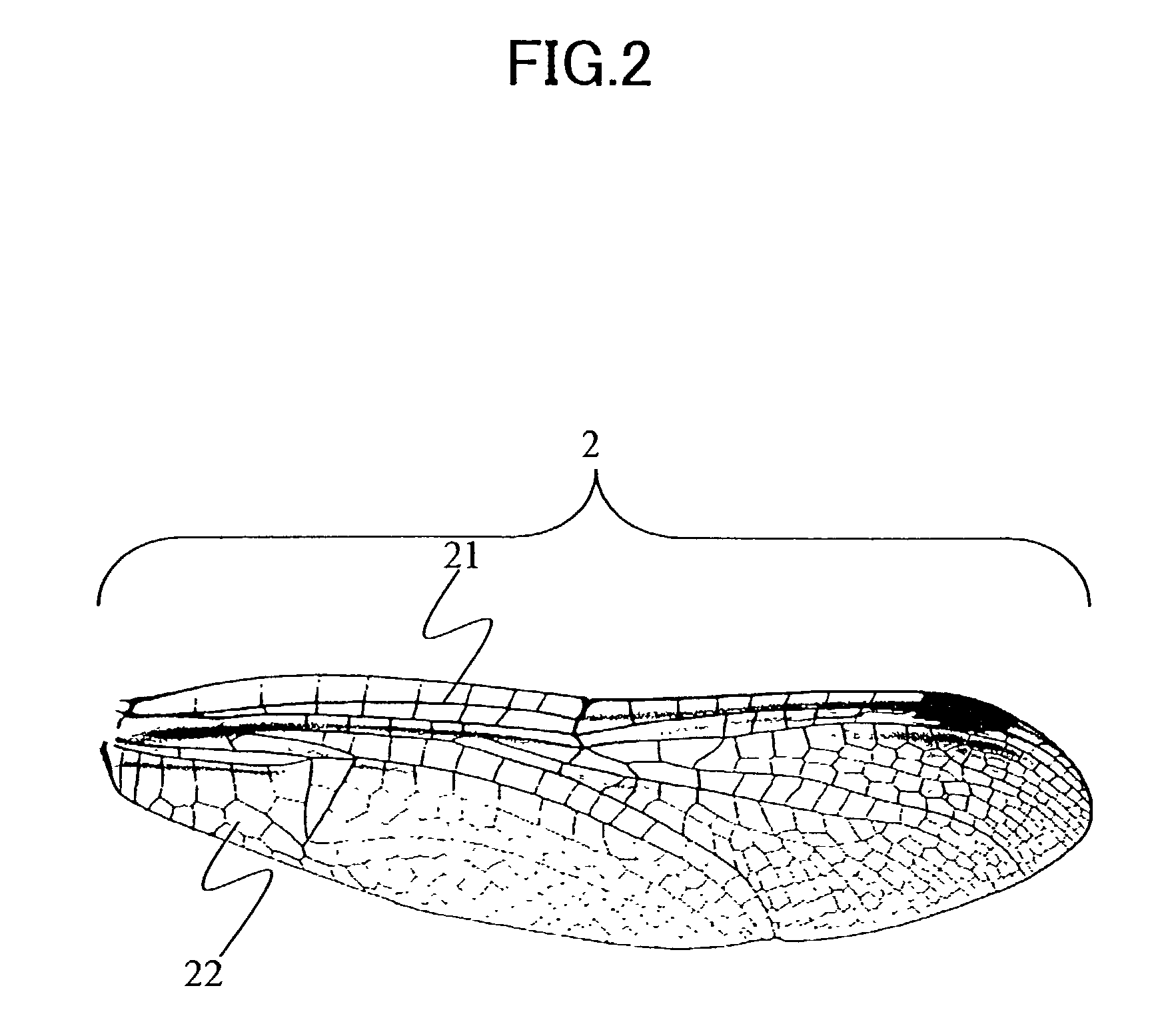 Method of manufacturing fluttering robot using a fluid-structure interactive numerical model for developing controls for wing driving apparatus