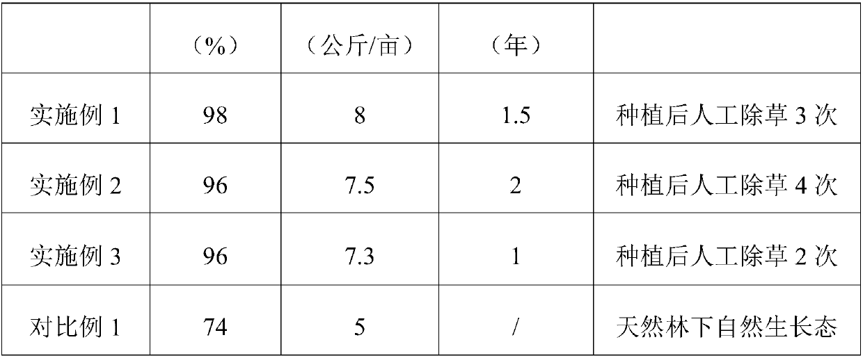 Planting method for amomum villousm plants