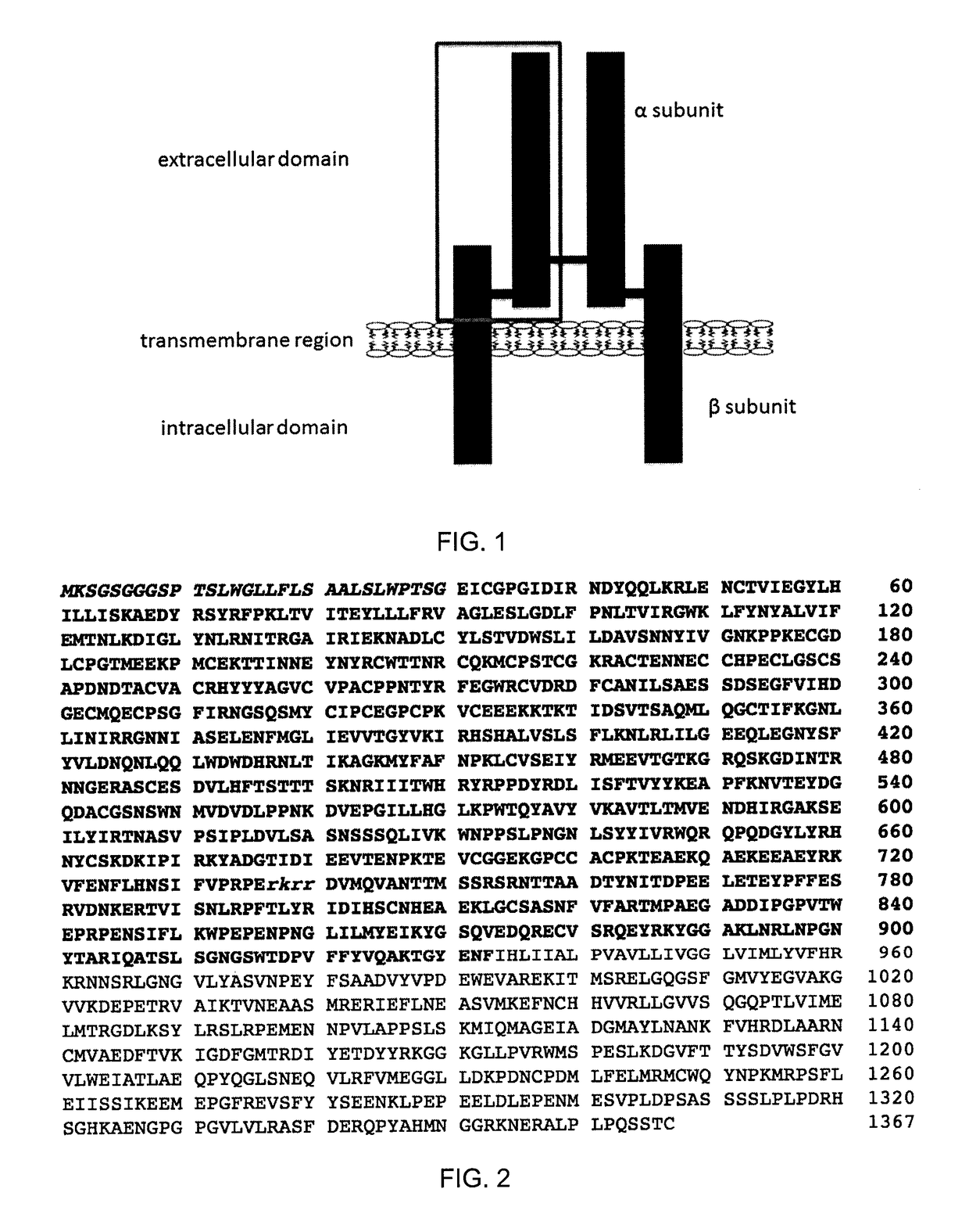 Insulin-like growth factor 1 receptor-specific antibodies and uses thereof