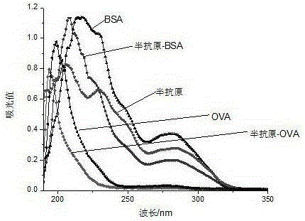 Sildenafil and its analogue immunodetection method