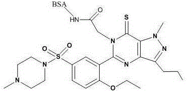 Sildenafil and its analogue immunodetection method