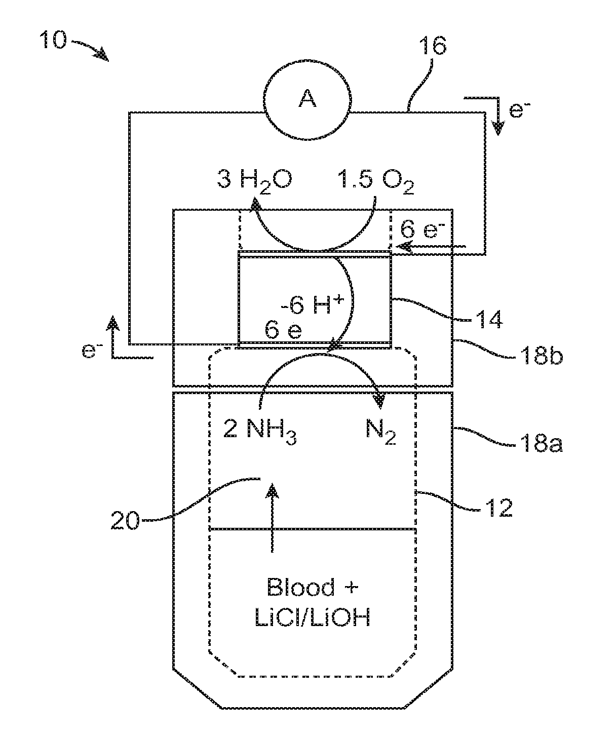 Rapid small volume detection of blood ammonia