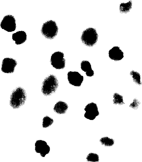 Preparation of docetaxel long-circulating liposome and freeze-dried powder injection thereof