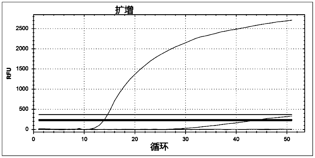 Fluorescent quantitative PCR detection method of human coronavirus and respiratory syncytial virus and application thereof