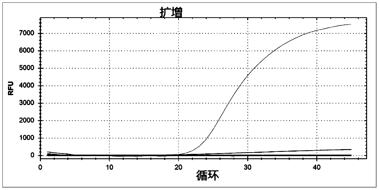 Fluorescent quantitative PCR detection method of human coronavirus and respiratory syncytial virus and application thereof