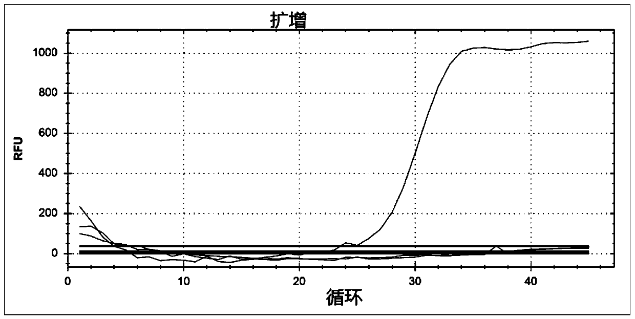 Fluorescent quantitative PCR detection method of human coronavirus and respiratory syncytial virus and application thereof