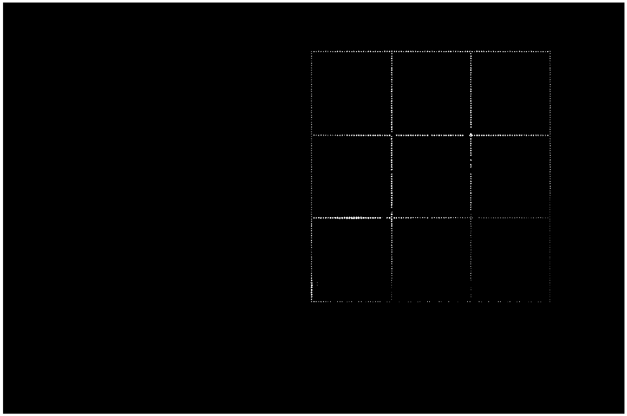 Video detection method for early smoke of field fire