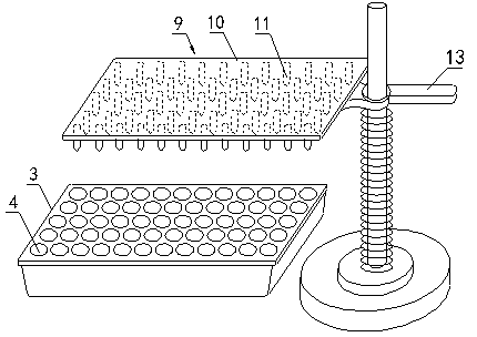 Vegetable factorization seedling culturing method and device thereof