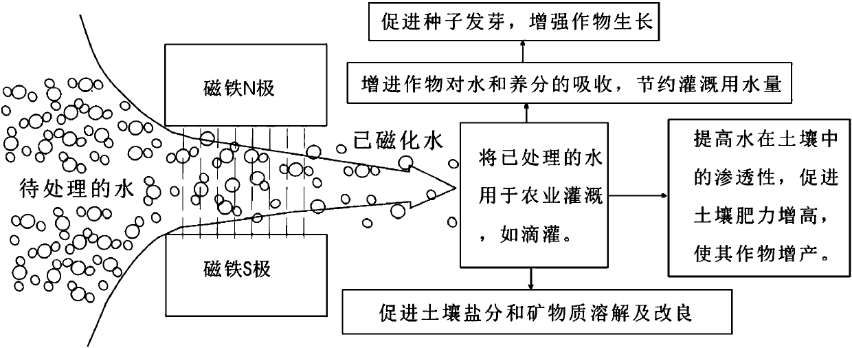 Magnetized water irrigation method aiming at high-efficiency utilization of corn agricultural resources