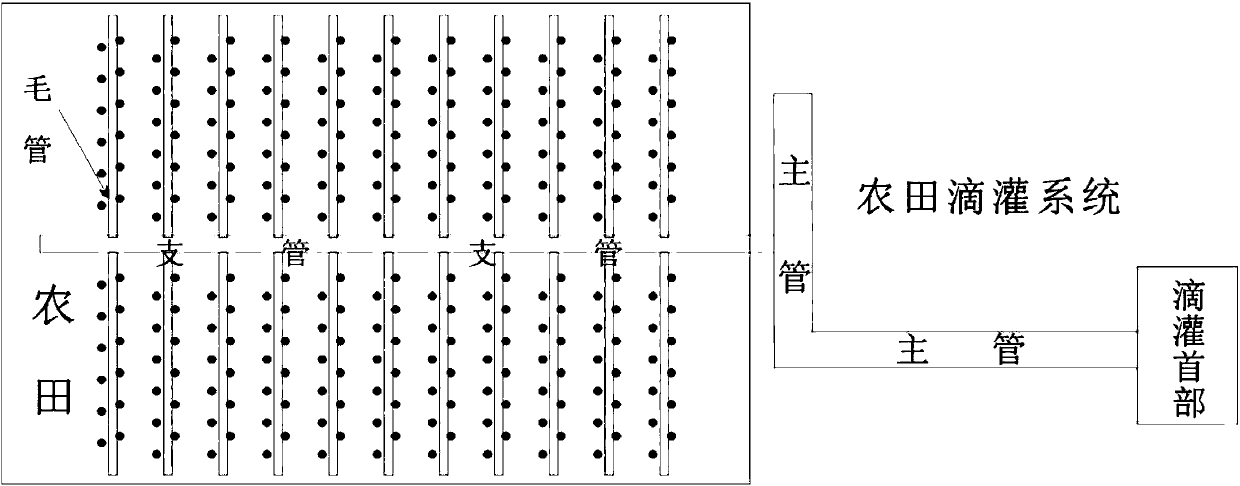 Magnetized water irrigation method aiming at high-efficiency utilization of corn agricultural resources