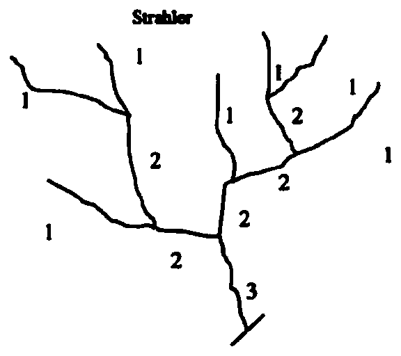 Riparian zone vegetation coverage extraction method based on mountain river classification