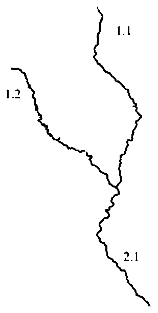 Riparian zone vegetation coverage extraction method based on mountain river classification