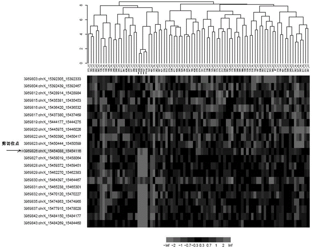 A BMX spliceosome and applications thereof in lung cancer drug resistance