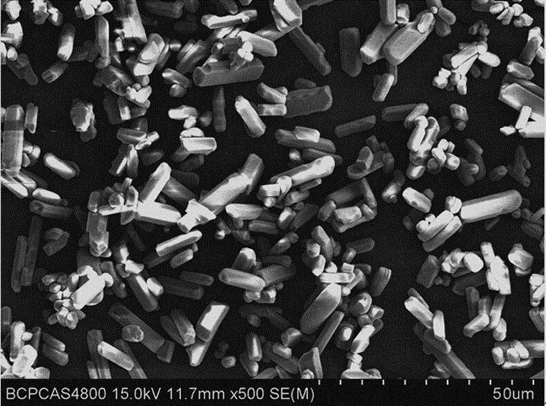 Nitride fluorescent powder and preparation method thereof