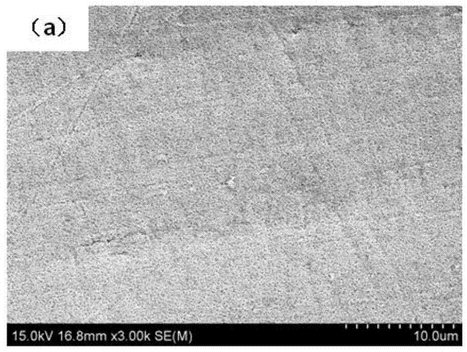 A nanoporous copper/platinum core-shell structure catalytic electrode and its preparation method