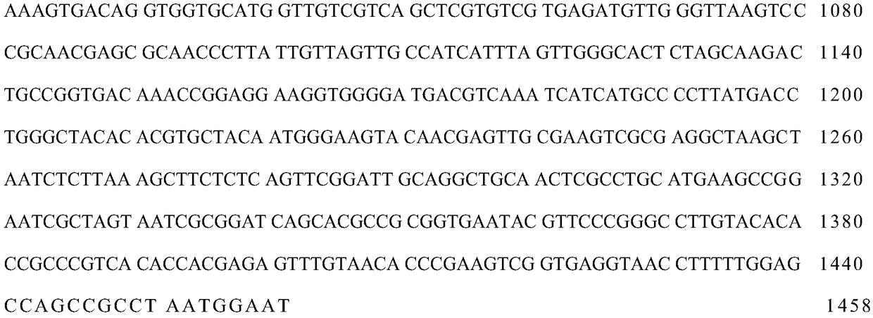 Enterococcus faecium, high-density fermentation culture method thereof, and microecological preparation prepared by adopting enterococcus faecium