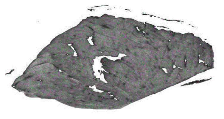 Device for detecting beef tenderness based on color image textural features and method thereof