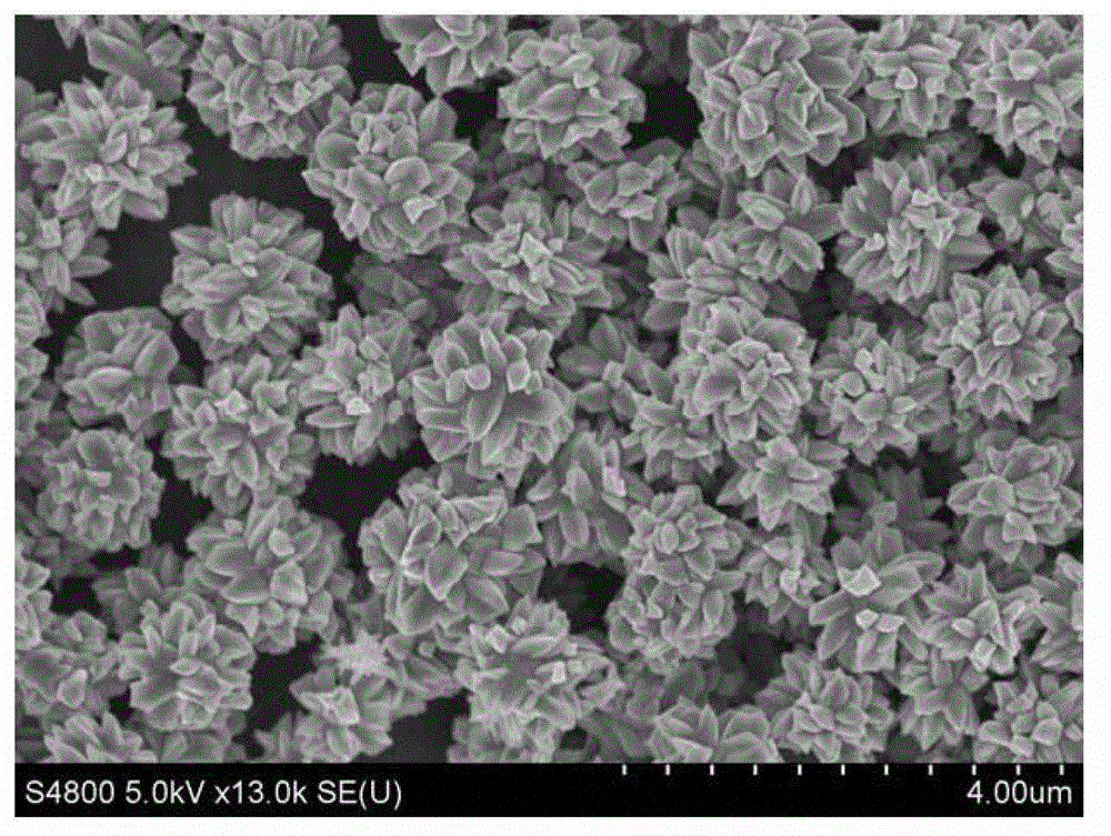 Preparation method of multistage-structured flower-shaped molybdenum dioxide