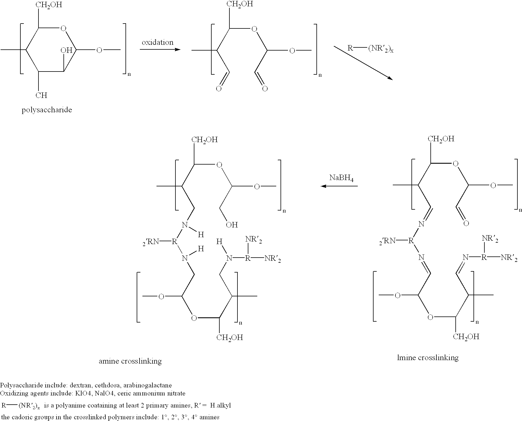 Cell-culture and polymer constructs