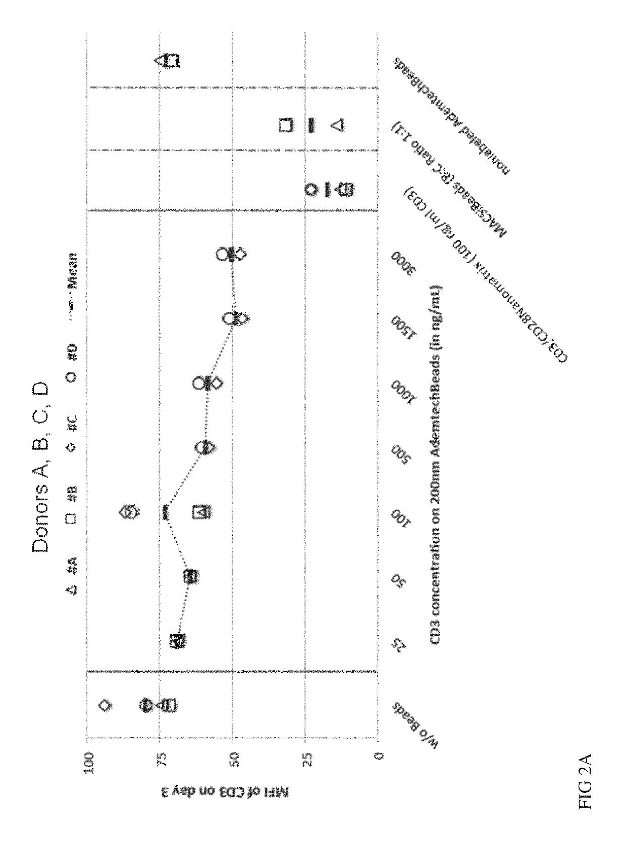 Method for polyclonal stimulation of T cells by flexible nanomatrices