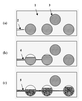 Room temperature self-repair thermoplastic polymer material