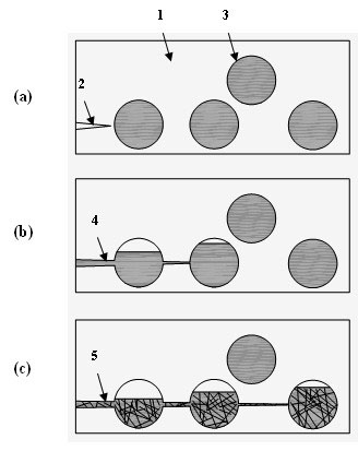 Room temperature self-repair thermoplastic polymer material