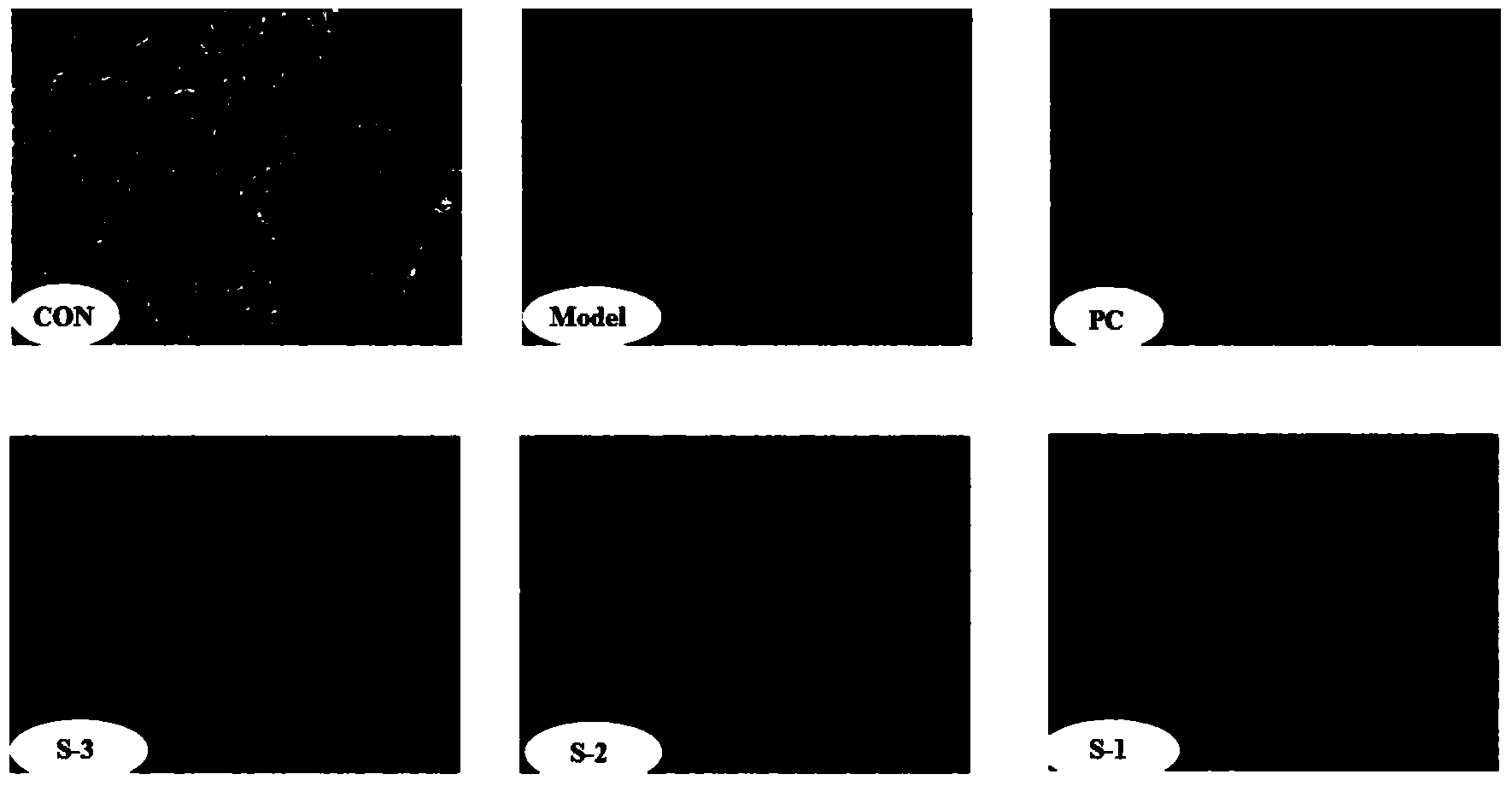 Soft capsule containing salvia miltiorrhiza extract and preparation method thereof